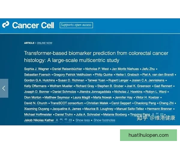 精准分析与智能预测助力体育竞猜提升胜率的秘诀揭秘